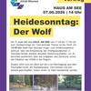 Heidesonntag rund um den Wolf