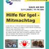 Igel -  Heidsonntag