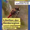 Libellen der Heideregion