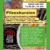 Pilzwanderung