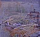 2020 03 31 - 06 28 00 - Schnee im Morgengrauen.jpg