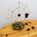 Kreatvies aus Kastanien und mehr &copy;Haus am See Schlaitz