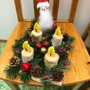 Baumscheibe mit Weihnachtsmann &copy;Haus am See Schlaitz