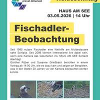 Plakat zum Vortrag &uuml;ber Fischadlerbeobachtung &copy;HAUS AM SEE