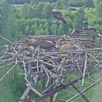 Gefahren aus allen Richtungen