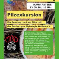 Plakat zur Pilzwanderung am 13.09.2026 &copy;HAUS AM SEE Schlaitz