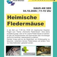 plakat_hs_flederm_use_2026.jpg ©Kathleen Kuhring Fledermaus Kleiner Abendsegler ©Kathleen Kuhring