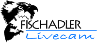 Logo Fischadler