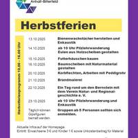Pilzwanderungen in den Herbstferien